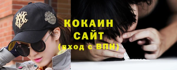 стаф Гусь-Хрустальный