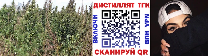 Купить где  Краснокаменск  ТГК THC oil 