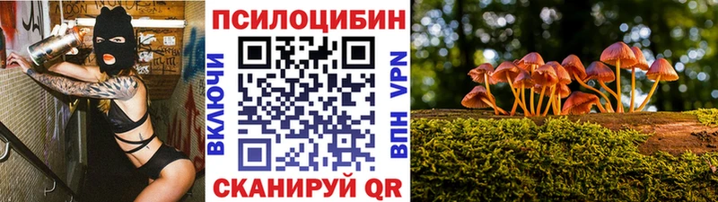 Галлюциногенные грибы Psilocybine cubensis  Купить где  Краснокаменск 